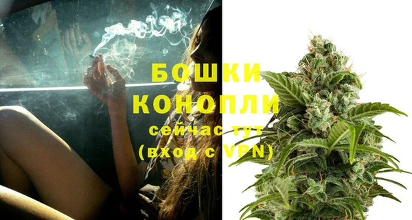 марки lsd Белокуриха