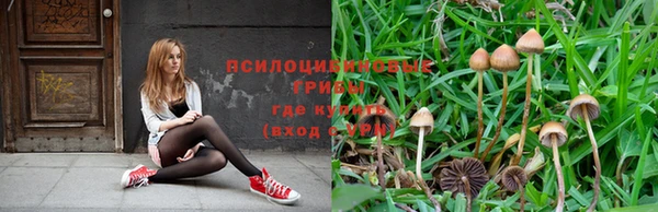 таблы Белоозёрский