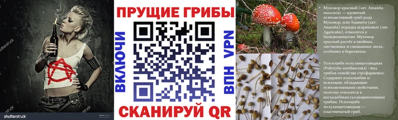 Галлюциногенные грибы прущие грибы  МЕГА сайт  Вышний Волочёк  сколько стоит 